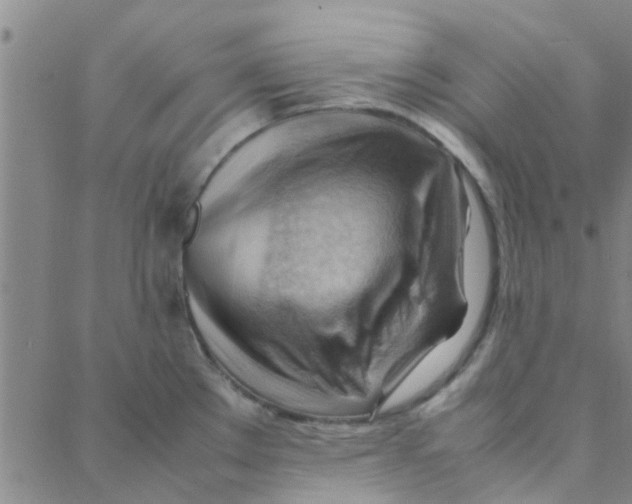 X0000088371289200706191234