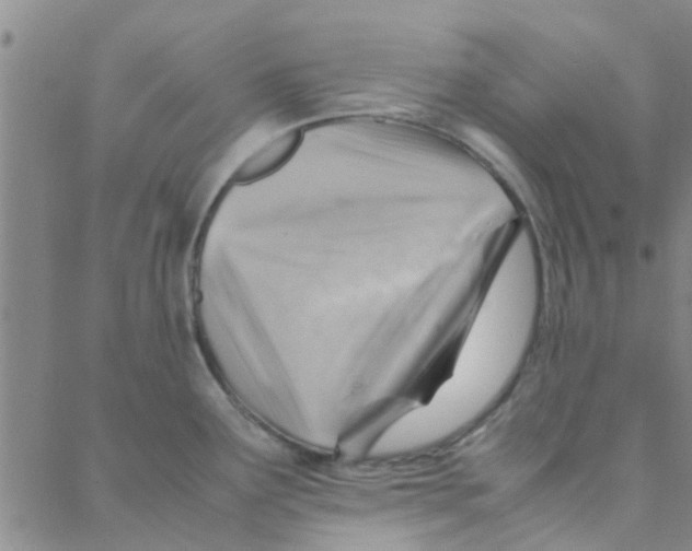 X0000088371291200706191234