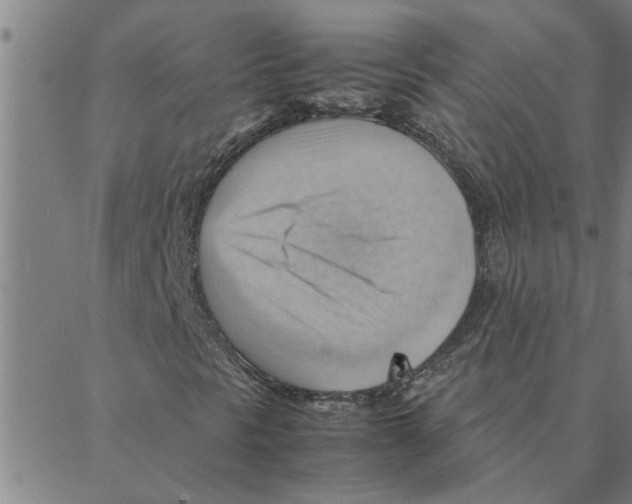 X0000088371297200706191233