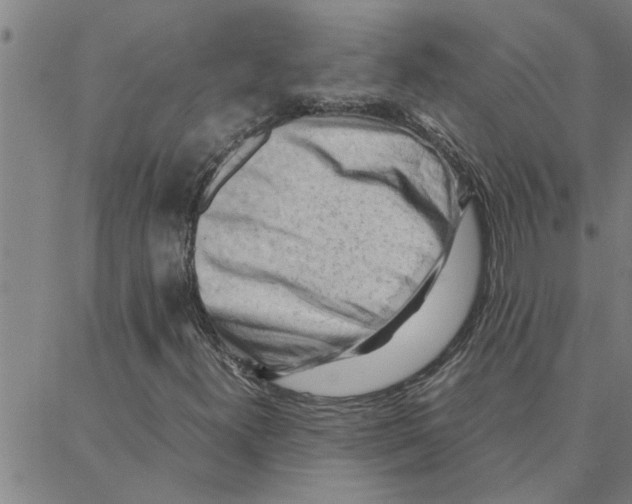 X0000088371300200706191233