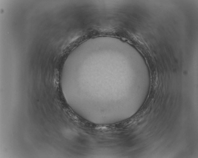 X0000088371301200706191233