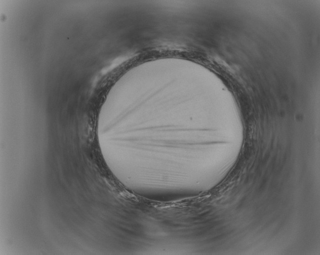 X0000088371303200706191233