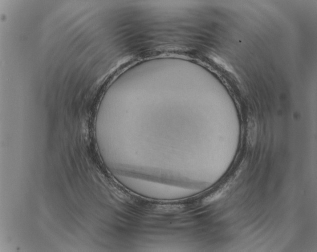 X0000088371305200706191233