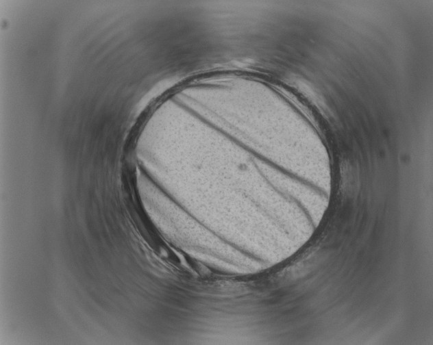 X0000088371308200706191233