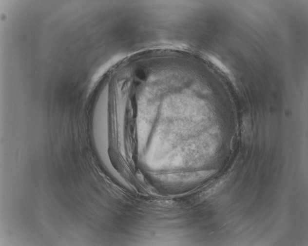 X0000088371310200706191233