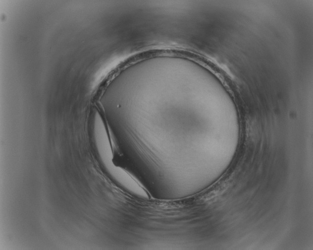 X0000088371311200706191233