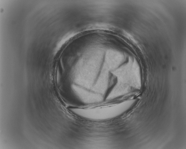 X0000088371312200706191233