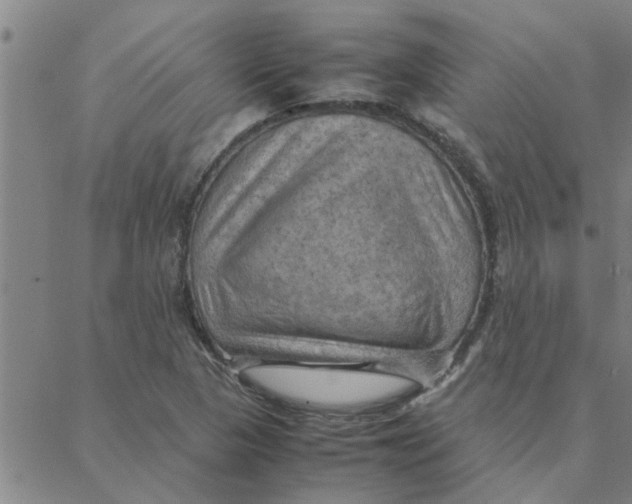 X0000088371313200706191233