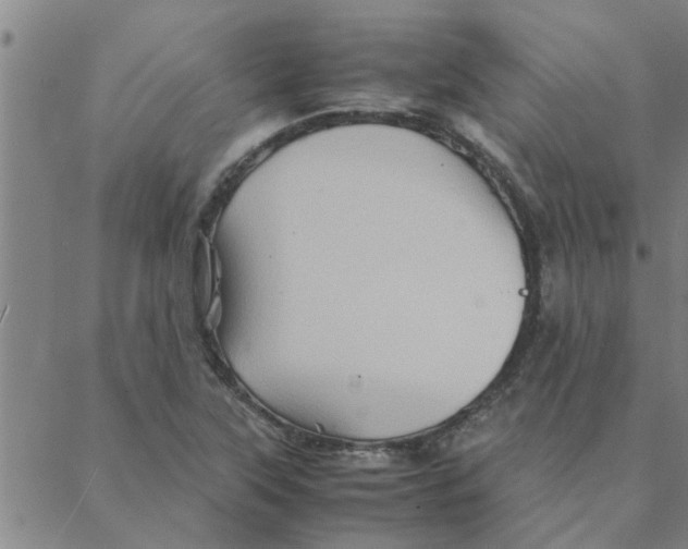 X0000088371315200706191233