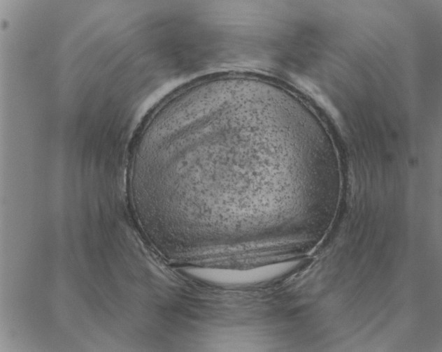 X0000088371316200706191233