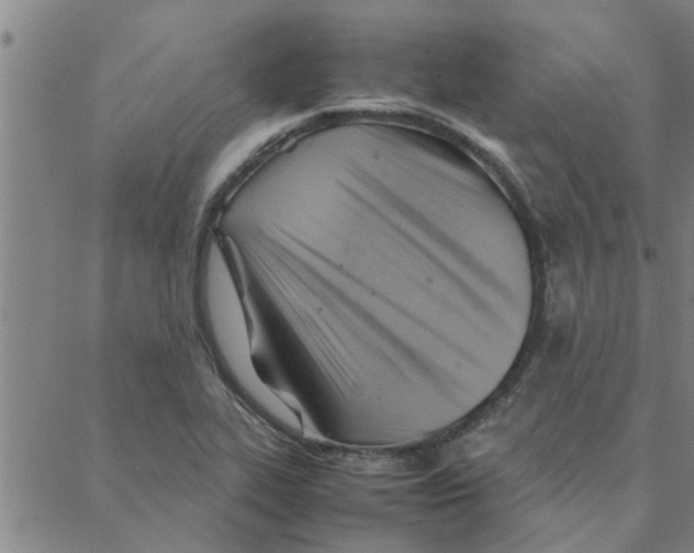 X0000088371319200706191233