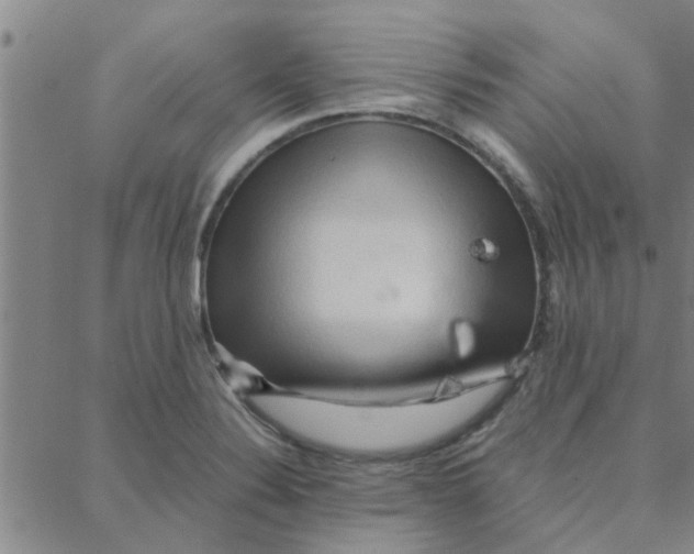 X0000088371324200706191233