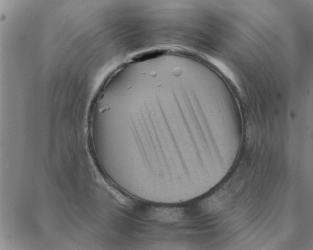 X0000088371327200706191233