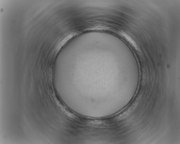 X0000088371329200706191233