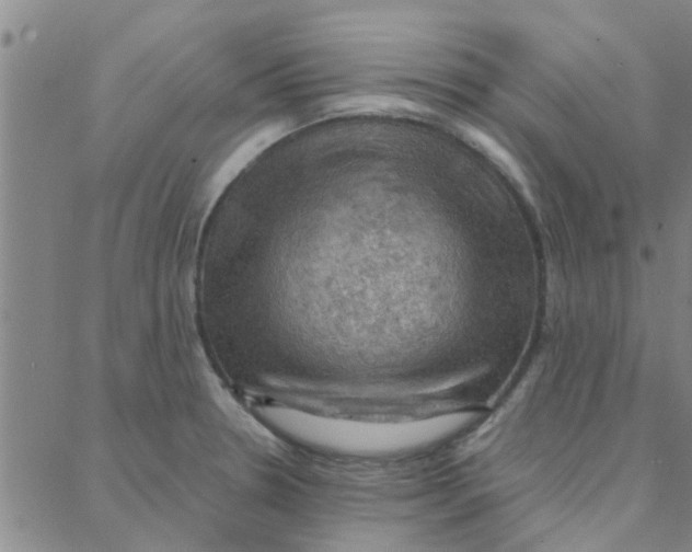 X0000088371330200706191233