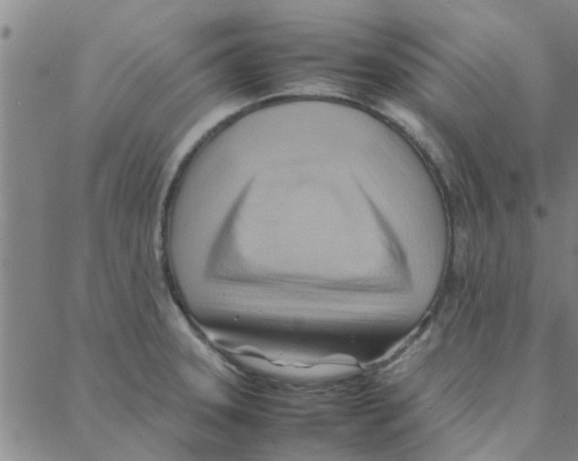 X0000088371331200706191233