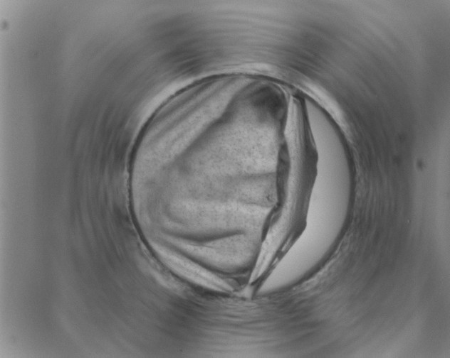 X0000088371332200706191233