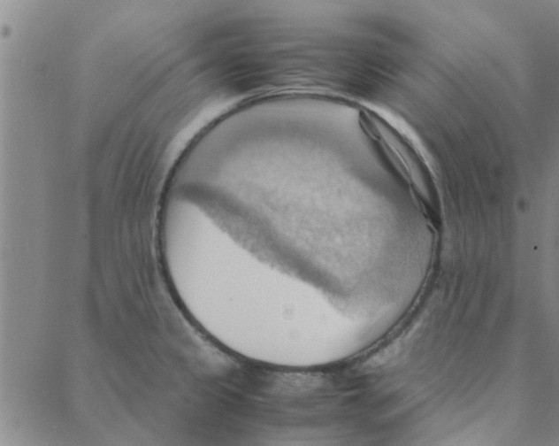 X0000088371333200706191233