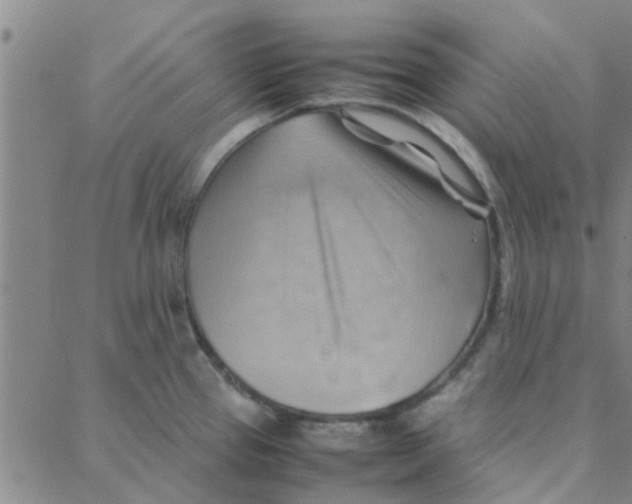 X0000088371337200706191233