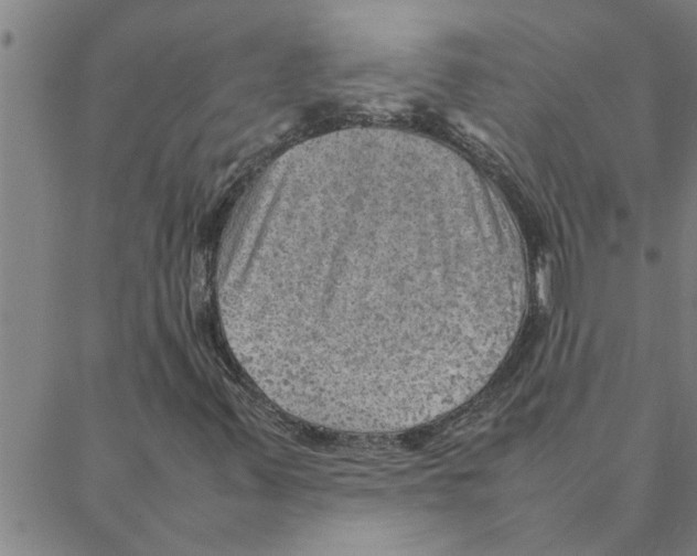 X0000088371347200706191233