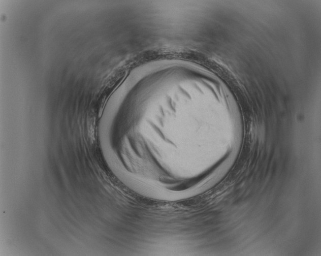 X0000088371348200706191233