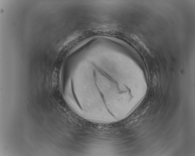 X0000088371350200706191233