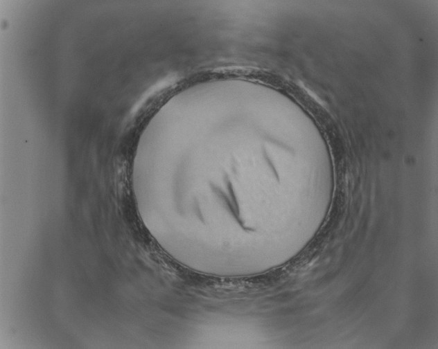 X0000088371351200706191233