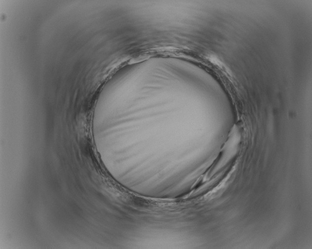 X0000088371353200706191233