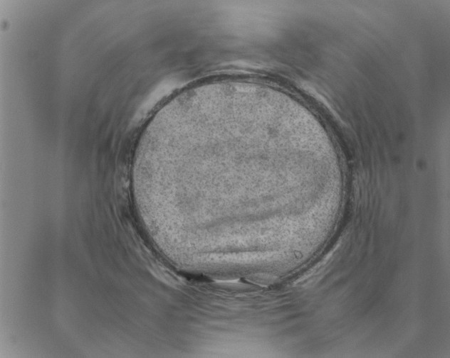 X0000088371355200706191233