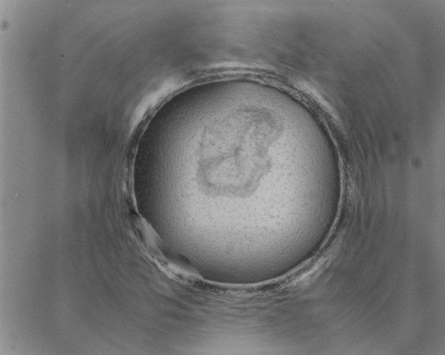 X0000088371357200706191233