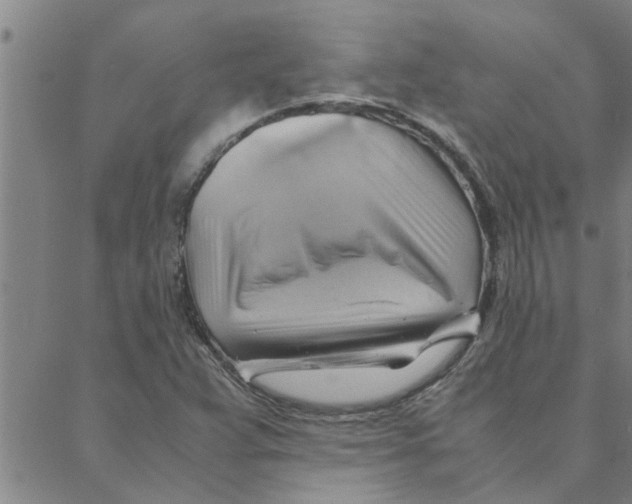 X0000088371359200706191233