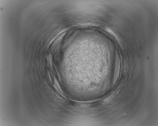 X0000088371361200706191233