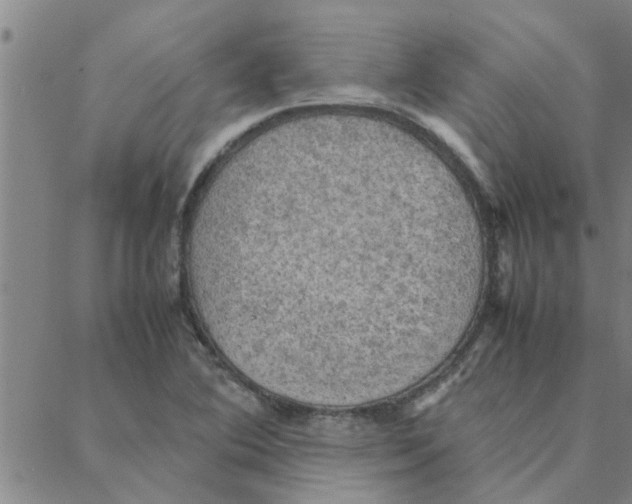 X0000088371364200706191232