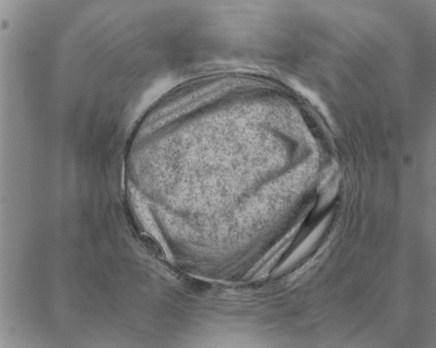 X0000088371365200706191232