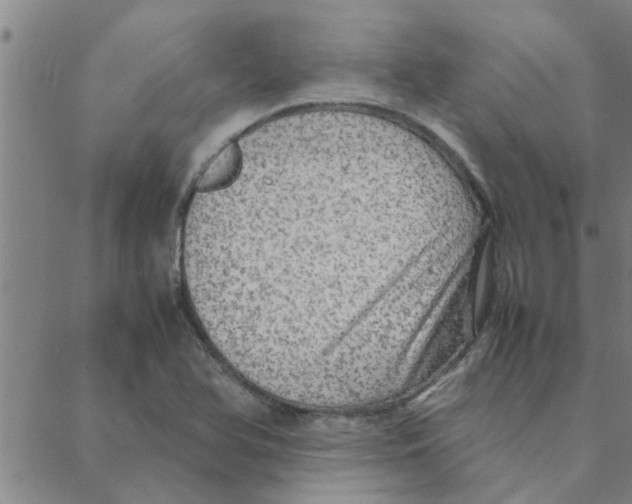 X0000088371366200706191232