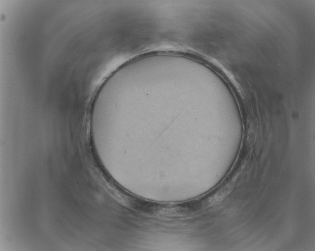 X0000088371367200706191232