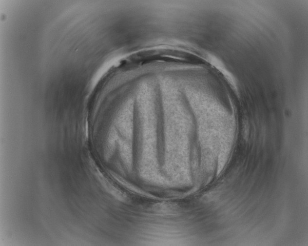 X0000088371368200706191232