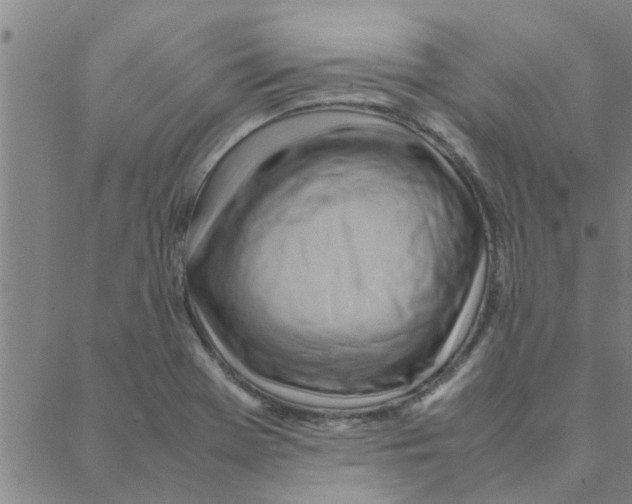 X0000088371369200706191232