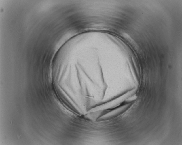 X0000088371370200706191232