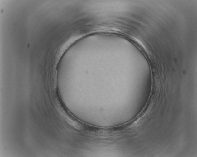 X0000088371371200706191232