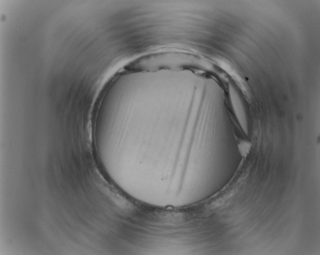 X0000088371372200706191232