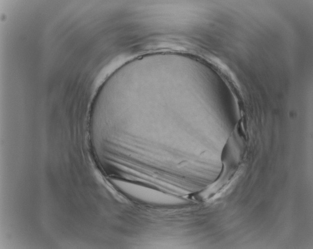 X0000088371373200706191232