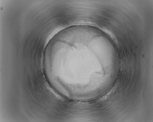 X0000088371374200706191232