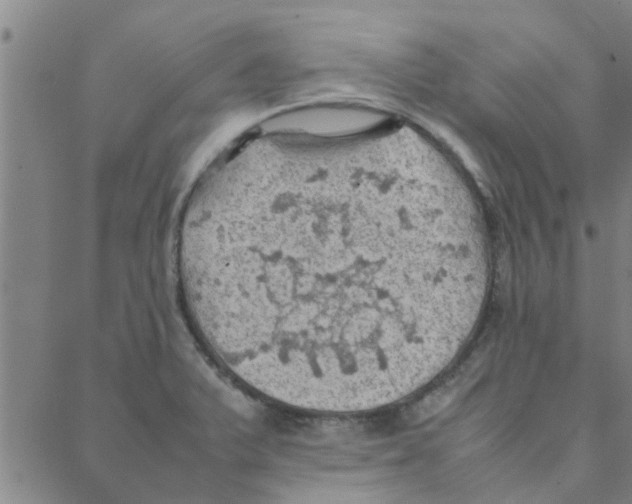 X0000088371375200706191232