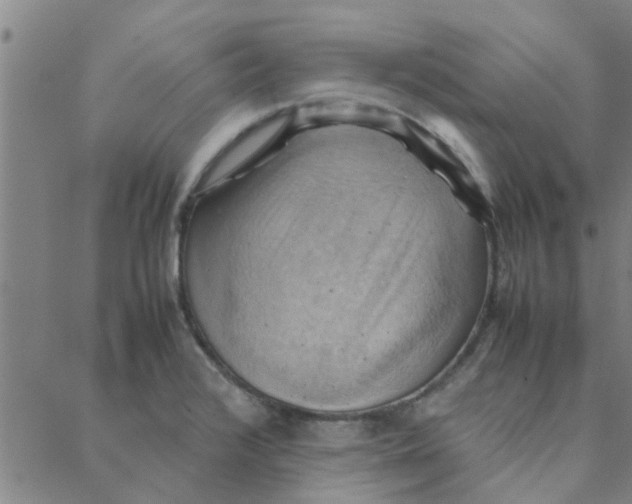 X0000088371376200706191232