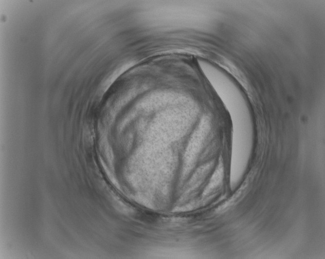 X0000088371377200706191232