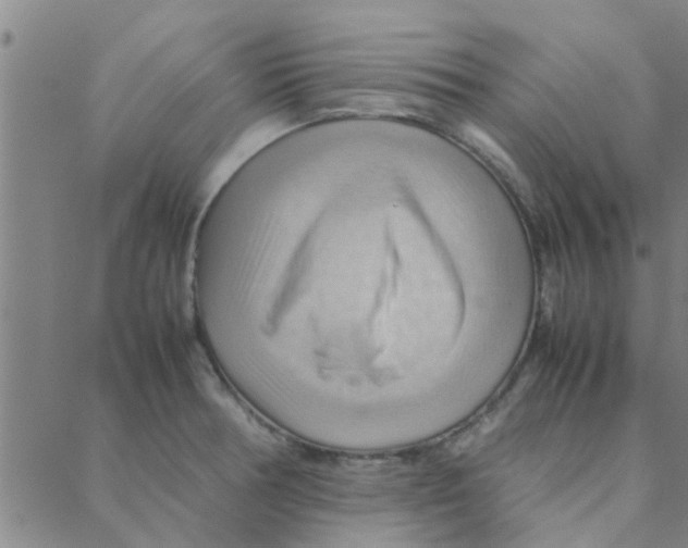 X0000088371378200706191232