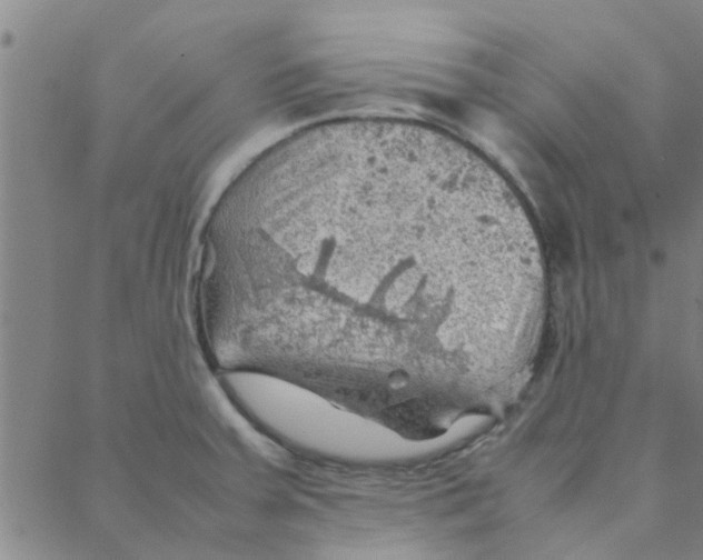 X0000088371379200706191232