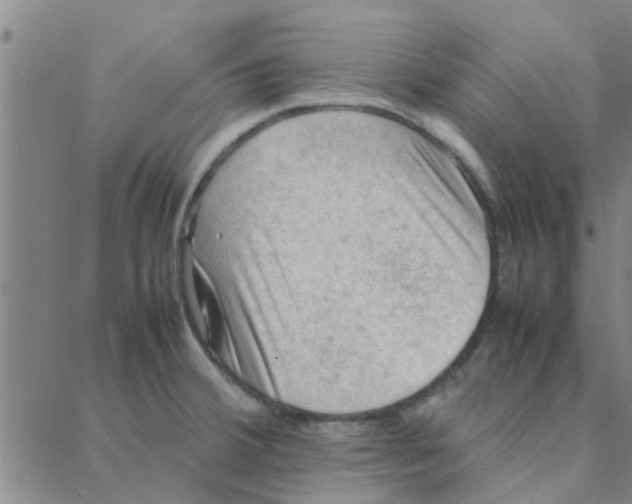 X0000088371380200706191232