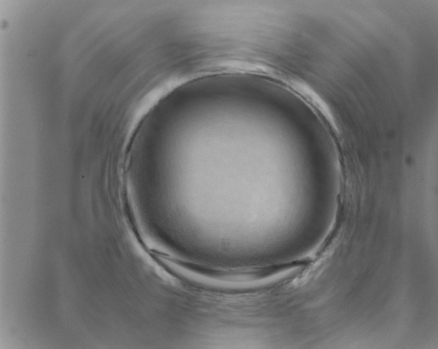 X0000088371381200706191232